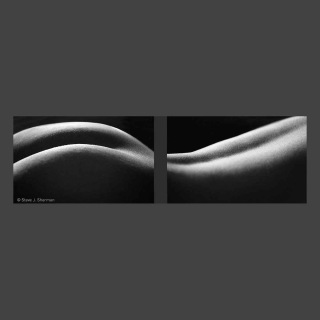 1990-2-21-22 diptych
