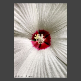 8-15-17 Phone pic