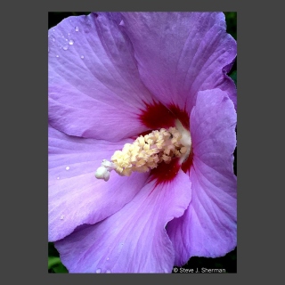 8-25-17 Phone pic