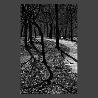 P.89-2-29